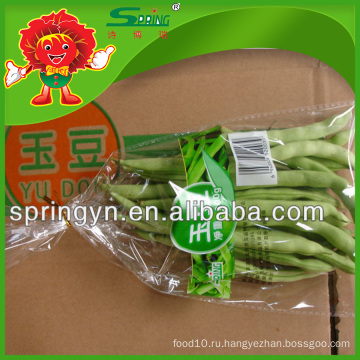 Замороженные стручковые фасоли для продажи, Китайский органический овощ